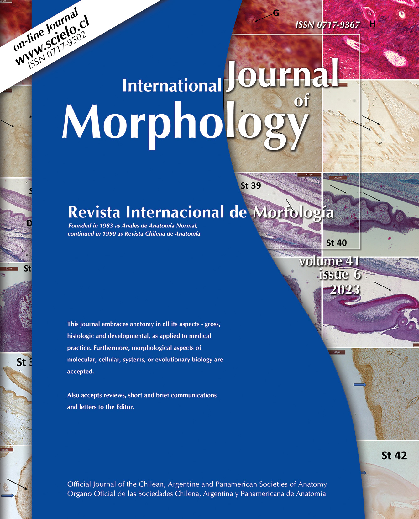 Aqueous Extract Of Ruta Graveolens From The North Of Mexico Causes 